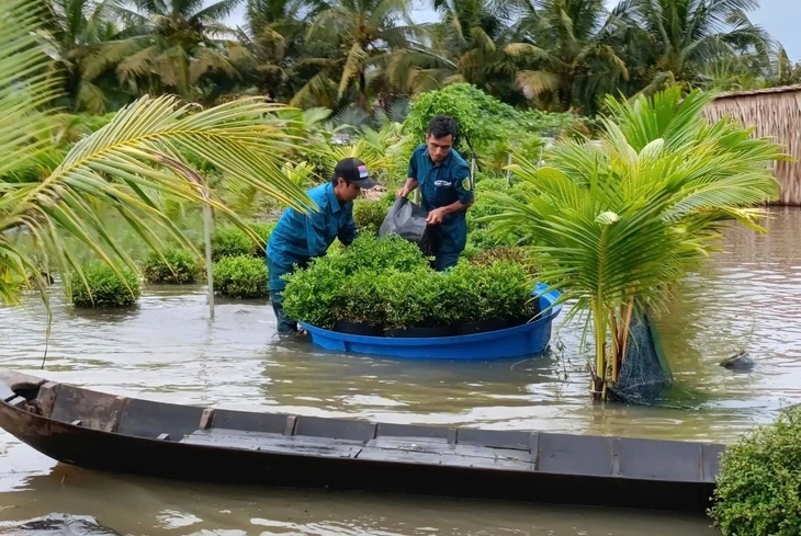 Sa Đéc mời chuyên gia tìm giải pháp chống ngập đô thị do mưa và triều cường Sa Đéc mời chuyên gia tìm giải pháp chống ngập đô thị do mưa và triều cường