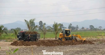 San lấp hơn 4.000m² đất lúa, bị phạt 70 triệu đồng