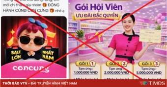 Sập bẫy nhóm “Đồng hành cùng Con Cưng”, người phụ nữ ở Hà Nội mất gần 1 tỷ đồng