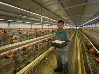 Sắp diễn ra Hội nghị Khoa học, công nghệ chăn nuôi và thú y toàn quốc lần thứ nhất