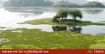 Sắp xếp vườn quốc gia: Bài toán giữa tinh gọn quản lý và bảo tồn đa dạng sinh học