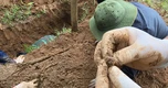 Sau lũ, Huế và Quảng Trị tăng tốc tìm kiếm, quy tập hài cốt liệt sĩ