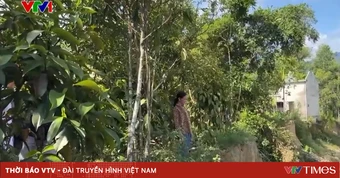 Sau lũ năm 2025, nhiều hộ dân tại Đà Nẵng chưa thể về nhà do sạt lở