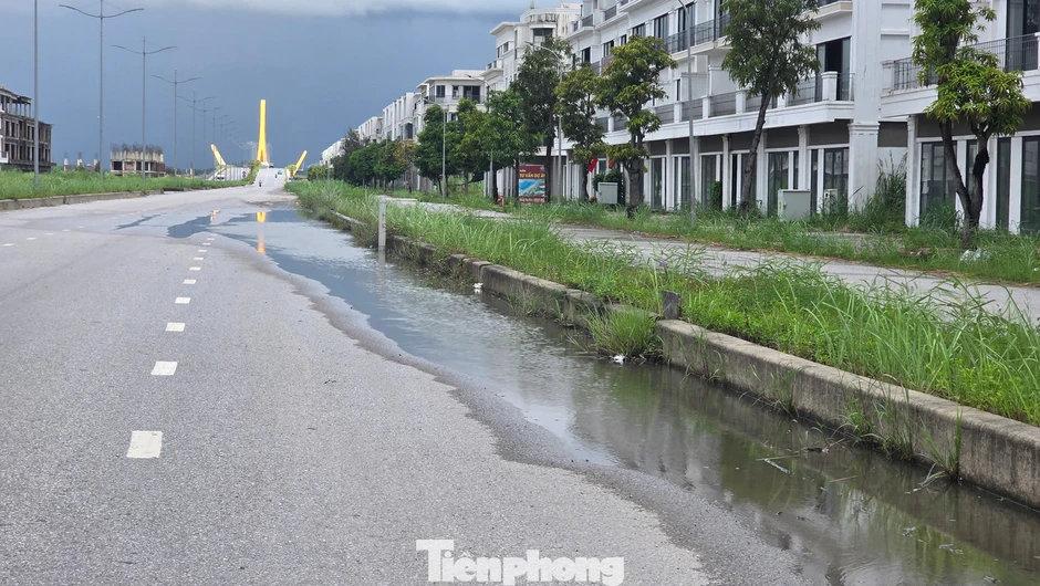 Sau phản ánh của báo Tiền Phong, Quảng Ninh yêu cầu kiểm định vết nứt cầu Bình Minh Sau phản ánh của báo Tiền Phong, Quảng Ninh yêu cầu kiểm định vết nứt cầu Bình Minh