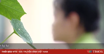 Sau tiệc sinh nhật, nữ sinh 16 tuổi bị cuốn vào vòng xoáy của ma túy