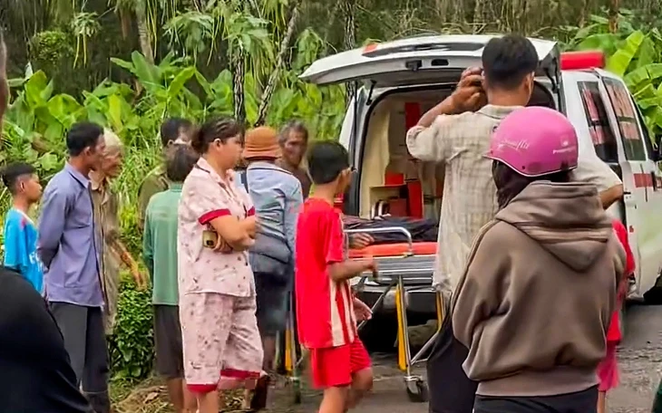 Sét đánh chết 5 con bò trên cánh đồng Sét đánh chết 5 con bò trên cánh đồng