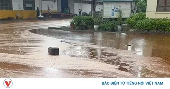 Sét đánh trúng bể chứa nhà máy đường ở Nghệ An, 2.000 tấn mật mía tràn ra ngoài