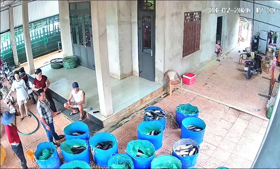 Sét đánh trúng hồ nuôi làm 3 tấn cá lóc chết hàng loạt Sét đánh trúng hồ nuôi làm 3 tấn cá lóc chết hàng loạt
