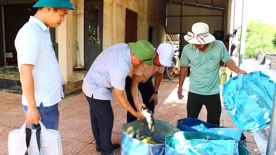 Sét đánh trúng hồ nuôi làm 3 tấn cá lóc chết hàng loạt Sét đánh trúng hồ nuôi làm 3 tấn cá lóc chết hàng loạt
