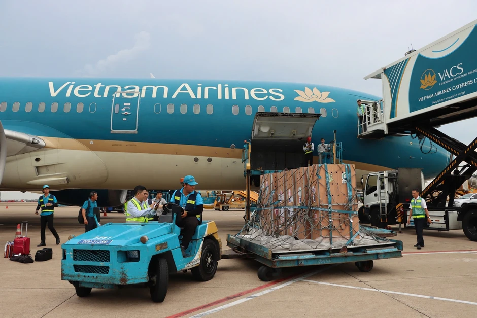 Sếu đầu đỏ "bay" từ Thái Lan về Việt Nam bằng Boeing 787 Sếu đầu đỏ "bay" từ Thái Lan về Việt Nam bằng Boeing 787
