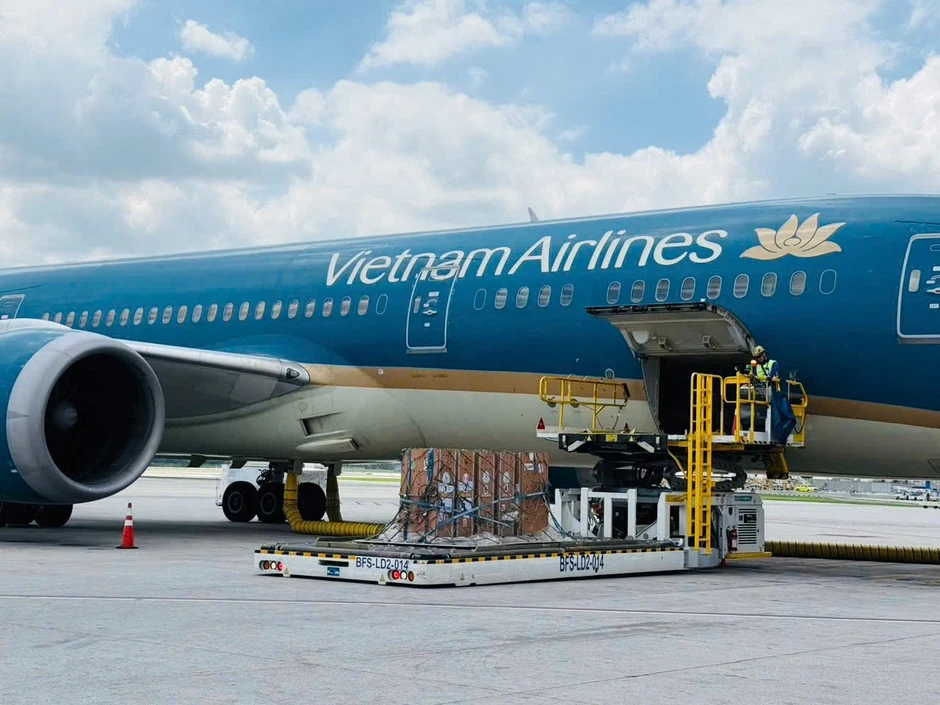 Sếu đầu đỏ "bay" từ Thái Lan về Việt Nam bằng Boeing 787 Sếu đầu đỏ "bay" từ Thái Lan về Việt Nam bằng Boeing 787