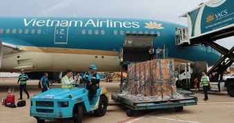 Sếu đầu đỏ "bay" từ Thái Lan về Việt Nam bằng Boeing 787