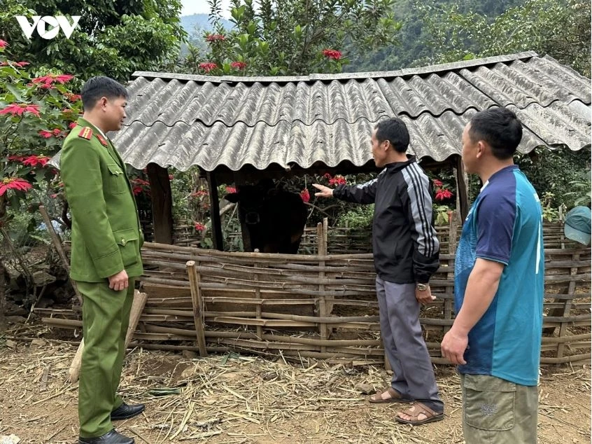 Sơn La phấn đấu ra khỏi diện trọng điểm ma tuý của cả nước vào năm 2030 Sơn La phấn đấu ra khỏi diện trọng điểm ma tuý của cả nước vào năm 2030