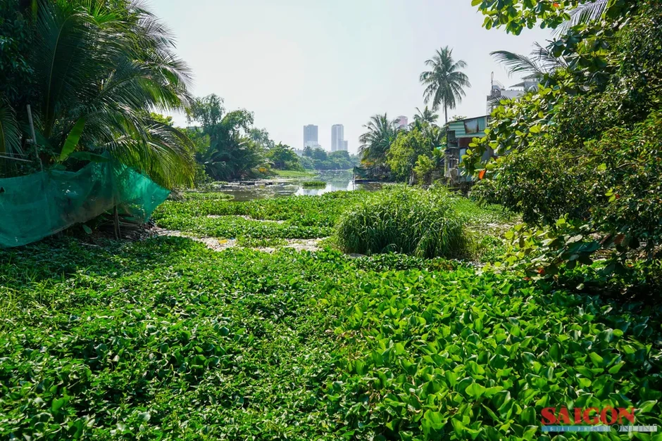 Sông Kim Bồng ở Nha Trang ô nhiễm nặng Sông Kim Bồng ở Nha Trang ô nhiễm nặng