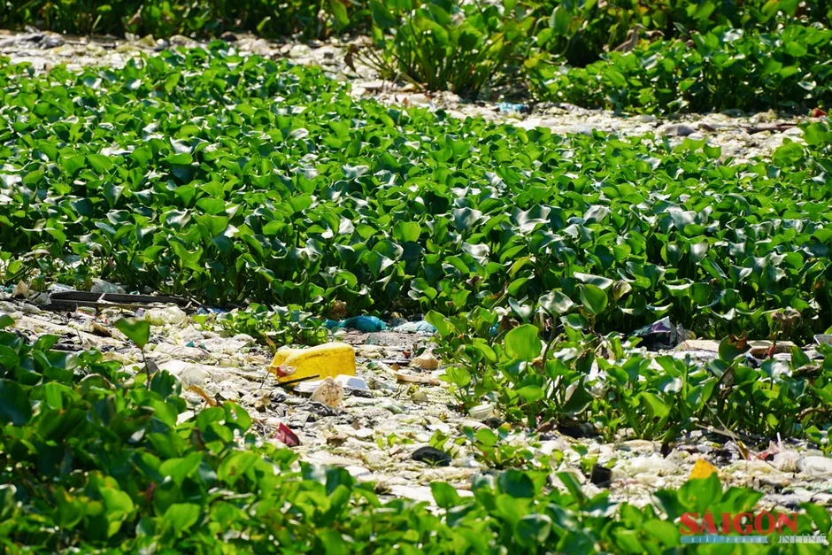Sông Kim Bồng ở Nha Trang ô nhiễm nặng Sông Kim Bồng ở Nha Trang ô nhiễm nặng