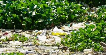 Sông Kim Bồng ở Nha Trang ô nhiễm nặng