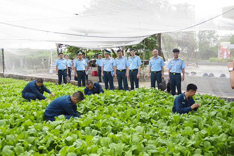 Sư đoàn Phòng không 367 nâng cao chất lượng huấn luyện chiến sĩ mới Sư đoàn Phòng không 367 nâng cao chất lượng huấn luyện chiến sĩ mới