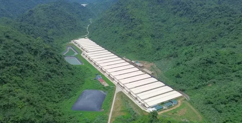 Tai nạn tại trang trại lợn ở Thanh Hóa làm 7 người thương vong