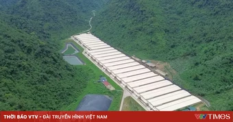 Tai nạn tại trang trại lợn ở Thanh Hóa làm 7 người thương vong