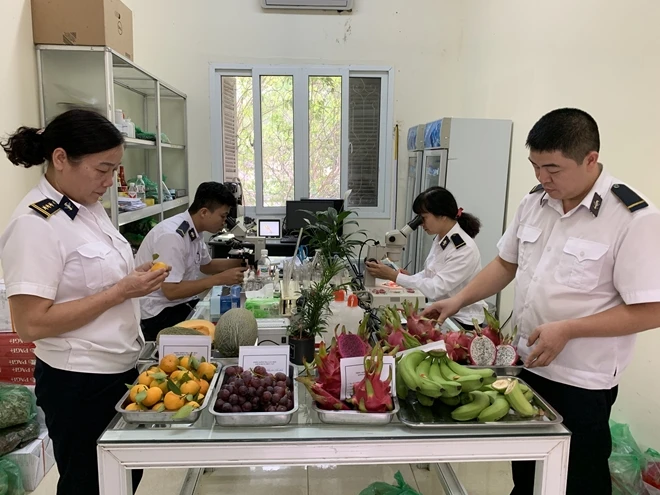 Tạm lùi thực hiện Nghị định 46 đến khi Luật An toàn thực phẩm sửa đổi có hiệu lực Tạm lùi thực hiện Nghị định 46 đến khi Luật An toàn thực phẩm sửa đổi có hiệu lực