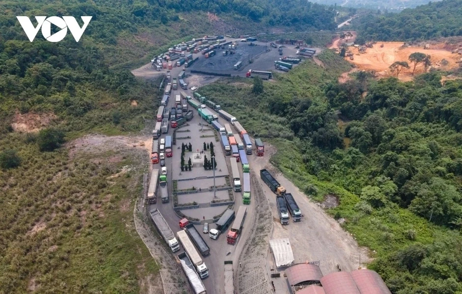 Tạm ngưng thi hành Nghị định 46 về an toàn thực phẩm