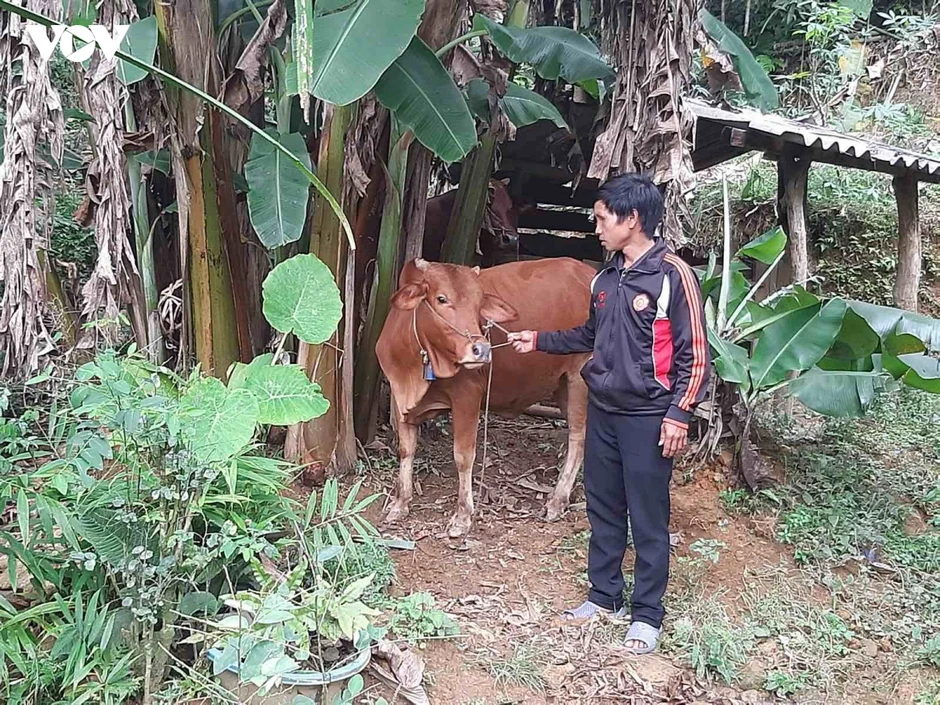 Tạo sinh kế bền vững cho đồng bào vùng cao Thái Nguyên Tạo sinh kế bền vững cho đồng bào vùng cao Thái Nguyên