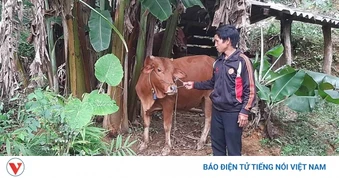 Tạo sinh kế bền vững cho đồng bào vùng cao Thái Nguyên