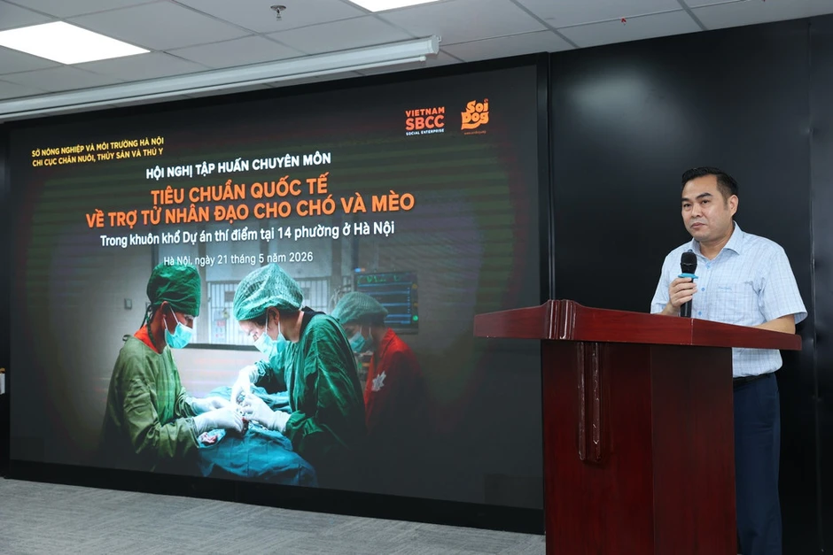 Tập huấn trợ tử nhân đạo chó, mèo tại Hà Nội Tập huấn trợ tử nhân đạo chó, mèo tại Hà Nội