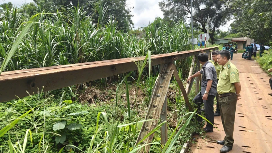Tập trung tìm kiếm, cắm mồi nhử bắt sinh vật nghi cá sấu tại con suối ở Đồng Nai