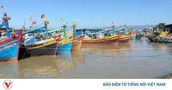 Tàu cá bị chìm trên biển Lâm Đồng, 2 lao động thoát thân an toàn