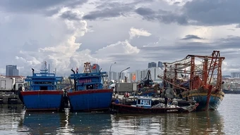 Tàu cá khai thác thuỷ sản bất hợp pháp có thể bị phạt tới 1 tỷ đồng