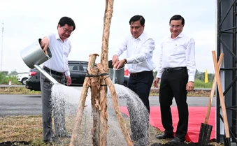 Tây Ninh đặt mục tiêu trồng ít nhất 300.000 cây xanh trong năm 2026