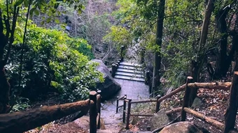 Tây Ninh: Kiểm soát người ra vào núi Bà Đen để phòng cháy rừng