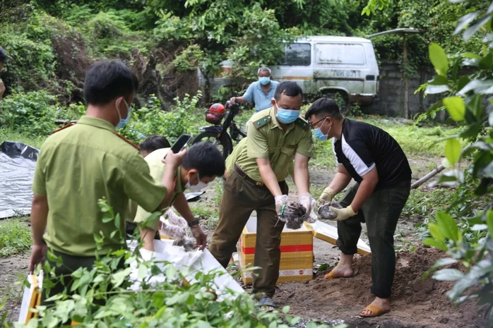 Tây Ninh tiêu hủy 127 kg thằn lằn núi Bà Đen vận chuyển trái phép Tây Ninh tiêu hủy 127 kg thằn lằn núi Bà Đen vận chuyển trái phép