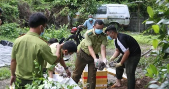 Tây Ninh tiêu hủy 127 kg thằn lằn núi Bà Đen vận chuyển trái phép