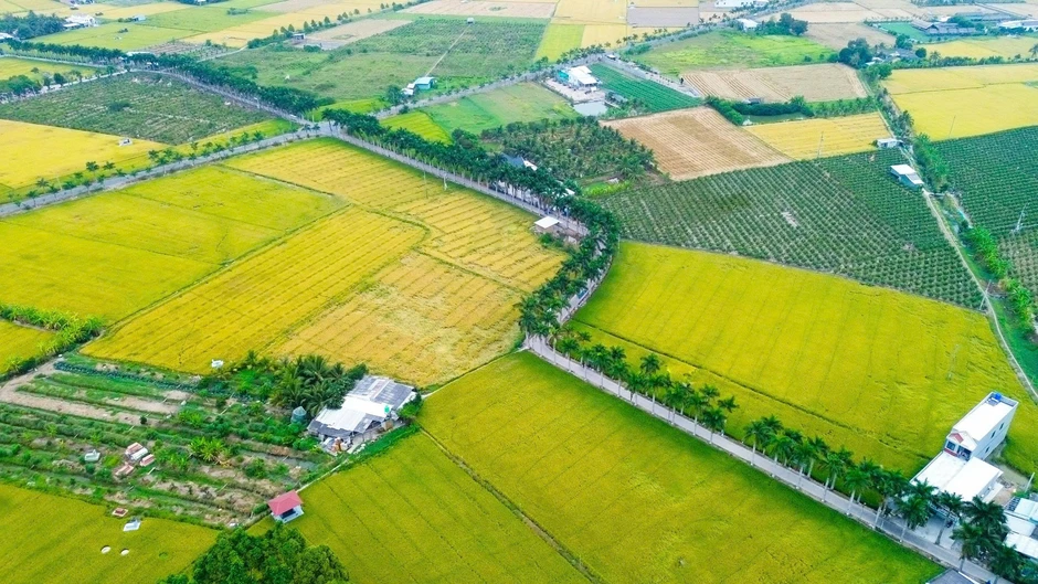 Tây Ninh: Xã Tân Trụ khát vọng bứt phá trong kỷ nguyên mới