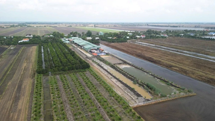 Tây Ninh: Xử phạt hơn 170 triệu đồng đối với Công ty TNHH Nhà Phúc Hậu Tây Ninh: Xử phạt hơn 170 triệu đồng đối với Công ty TNHH Nhà Phúc Hậu