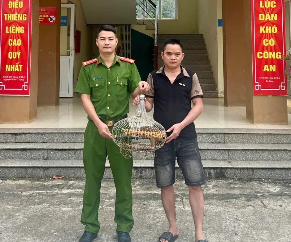Thả 1 cá thể tê tê quý hiếm về môi trường tự nhiên Thả 1 cá thể tê tê quý hiếm về môi trường tự nhiên