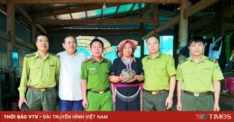 Thả 1 cá thể tê tê quý hiếm về môi trường tự nhiên