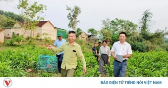 Thả cá thể cu ly “lạc” vào vườn người dân về rừng tự nhiên