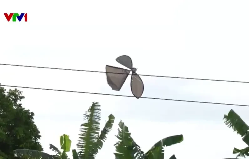Thả diều, câu cá gần lưới điện: Thú vui tiềm ẩn hiểm họa chết người