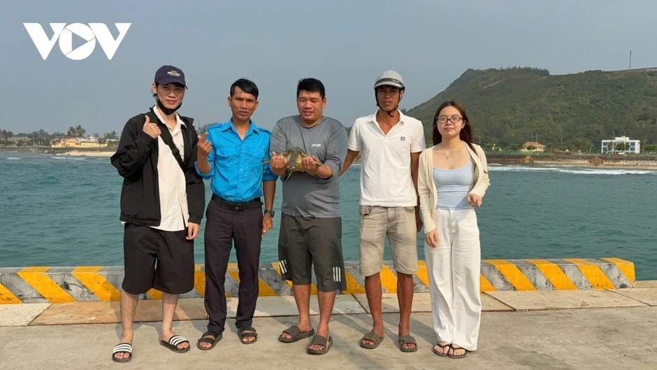 Thả rùa biển quý hiếm mắc “lưới ma” trở về đại dương Thả rùa biển quý hiếm mắc “lưới ma” trở về đại dương