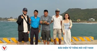 Thả rùa biển quý hiếm mắc “lưới ma” trở về đại dương