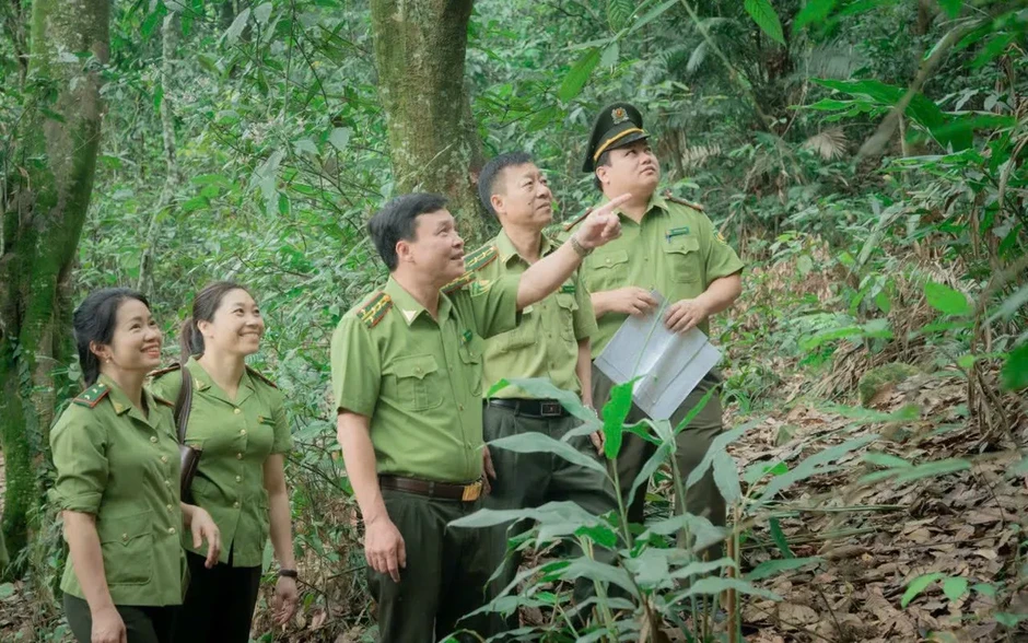 Thái Nguyên: Bài toán giữ rừng hiệu quả từ sự quyết liệt và đồng bộ Thái Nguyên: Bài toán giữ rừng hiệu quả từ sự quyết liệt và đồng bộ