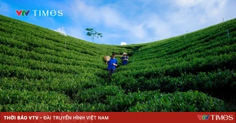 Thái Nguyên: Bứt phá mạnh mẽ trong 6 tháng đầu năm 2026 doanh thu du lịch tăng trưởng gần 60%