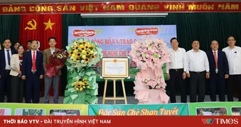 Thái Nguyên công nhận Làng nghề chè Shan tuyết Bằng Phúc