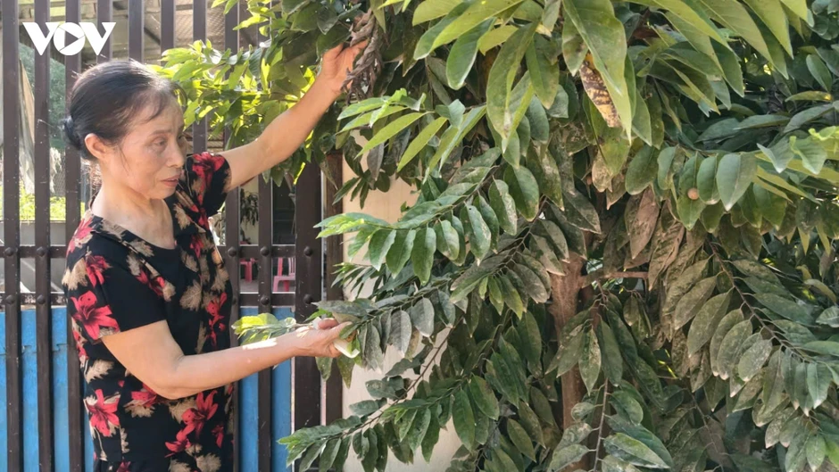 Thái Nguyên: Hàng trăm hộ dân hiến đất, đường 269C vẫn lỡ hẹn Thái Nguyên: Hàng trăm hộ dân hiến đất, đường 269C vẫn lỡ hẹn