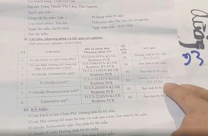 Thái Nguyên: Làm rõ nghi vấn trường mầm non cho trẻ ăn thịt lợn nhiễm dịch tả Thái Nguyên: Làm rõ nghi vấn trường mầm non cho trẻ ăn thịt lợn nhiễm dịch tả