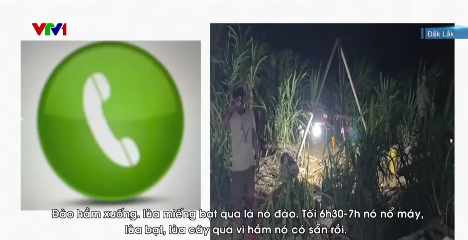Thâm nhập điểm khai thác vàng trái phép giữa ruộng mía ở Đắk Lắk