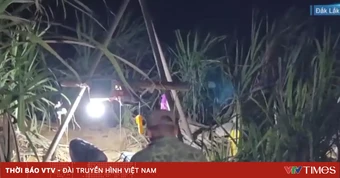 Thâm nhập điểm khai thác vàng trái phép giữa ruộng mía ở Đắk Lắk